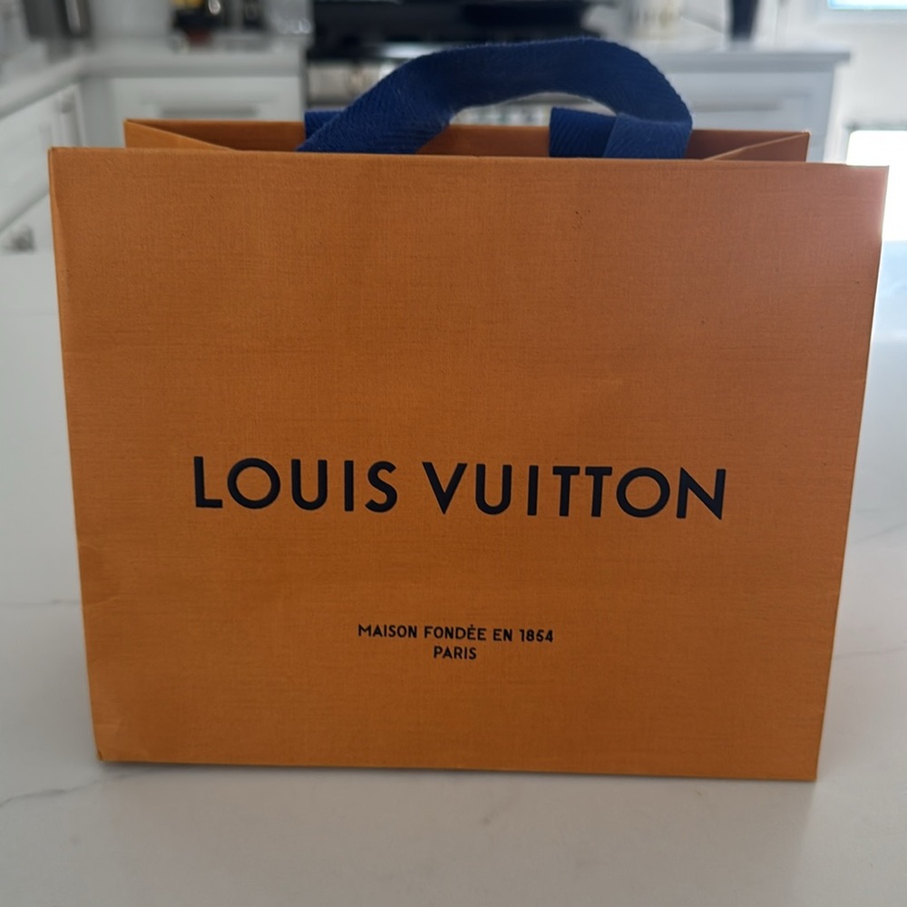 Louis Vuitton Small Box, Dust Bag, and Carrier Bag - Picture 6 of 7